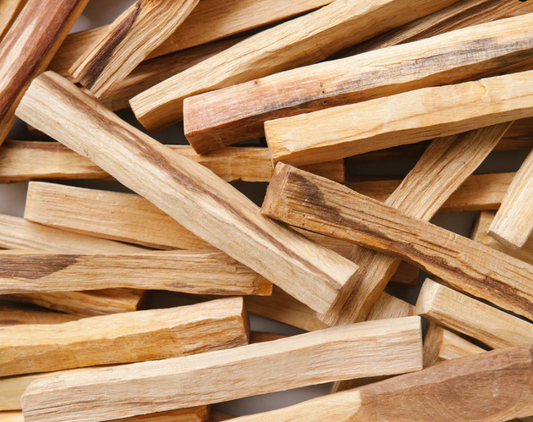 Palo Santo - Ethically and Sustainably Harvested